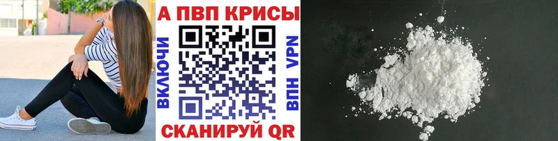 blacksprut tor  Мыски  Alpha PVP крисы CK  где найти  