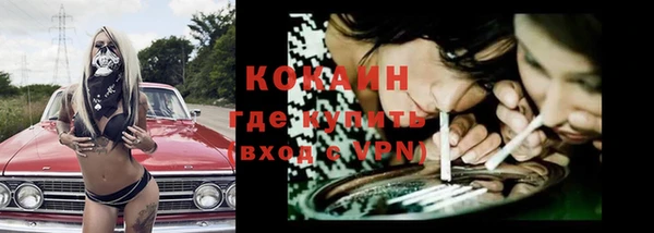 трава Абаза