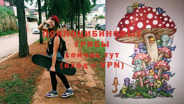 трава Абаза