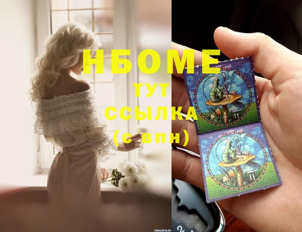 PSILOCYBIN Алзамай