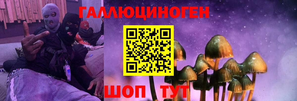 Галлюциногенные грибы Psilocybine cubensis Мыски